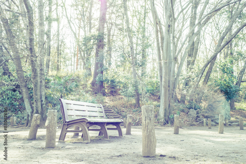 Scenery with the bench