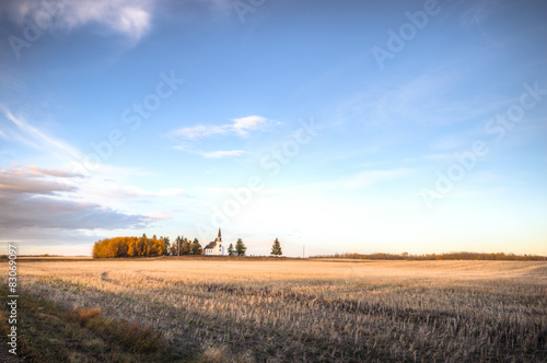 agricultural field