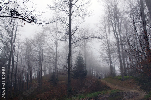 Wzgórze i zamglony las w Beskidach