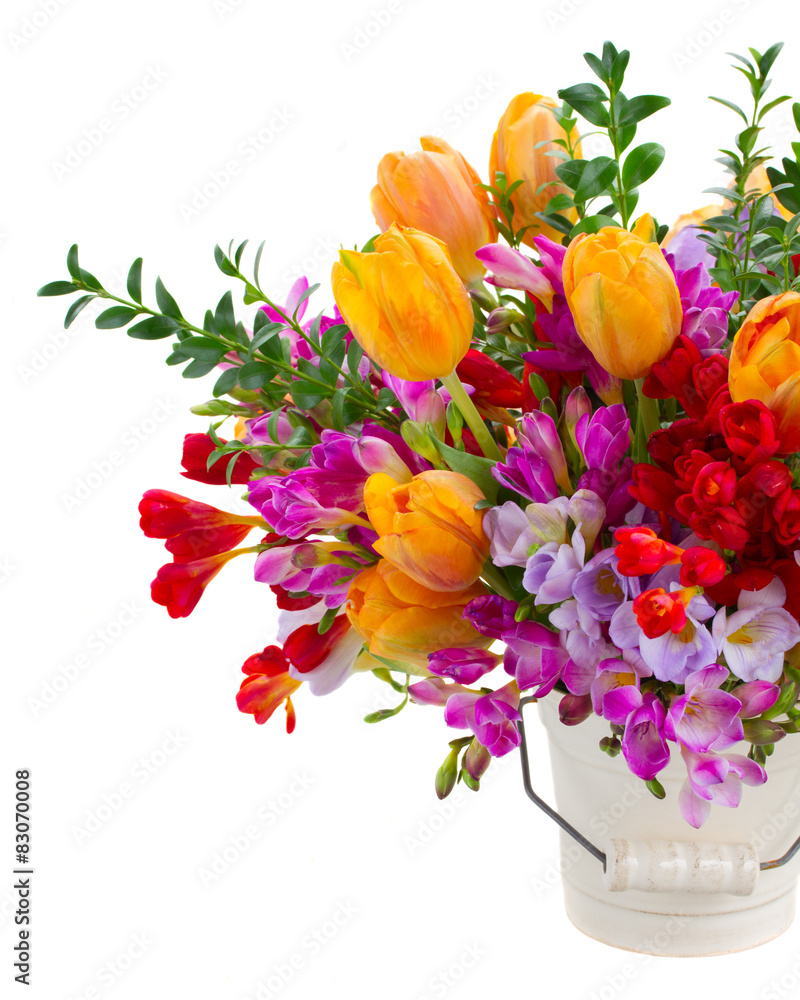 Fototapeta premium freesia and tulip flowers