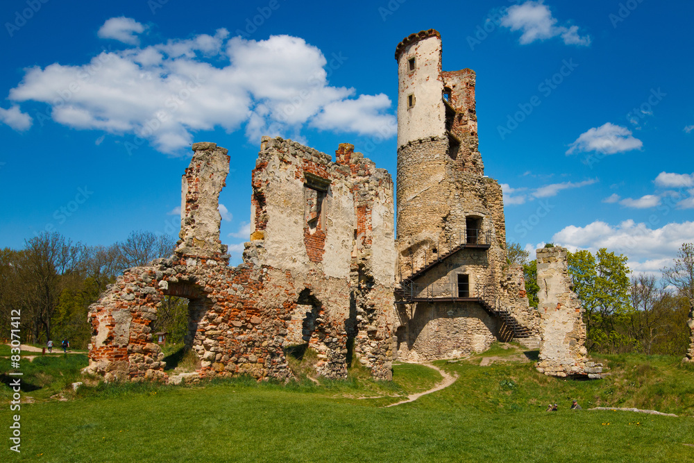 The ruins of the castle Zviretice.