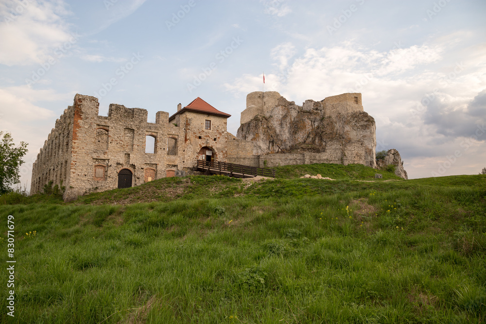 The ruins of the castle in Rabsztyn 