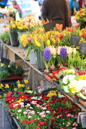 Fototapeta Naklejka Na Ścianę i Meble -  Blumenmarkt im Frühling
