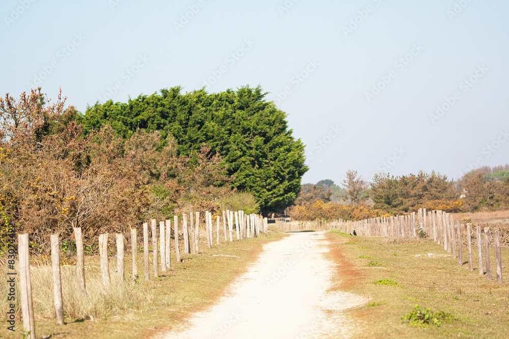Obraz premium Chemin de randonnées à la pointe de Mousterlin dans le Finistère
