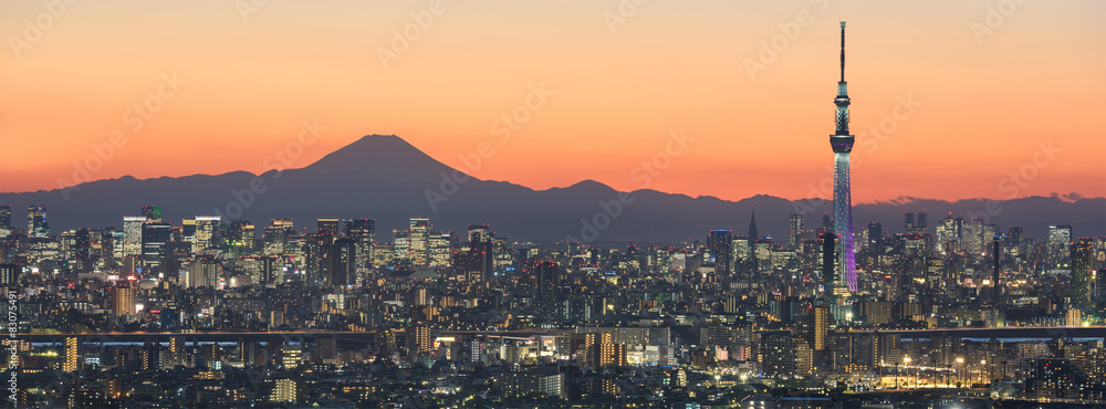 Naklejka premium Tokio pejzaż miejski i Halny Fuji w Japonia
