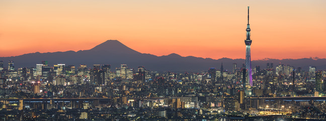 Fotobehang Japan Tokio stadsgezicht met berg Fuji  © jiratto