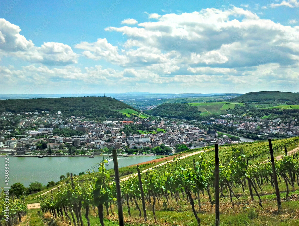 Blick auf den Rhein in Rheinhessen