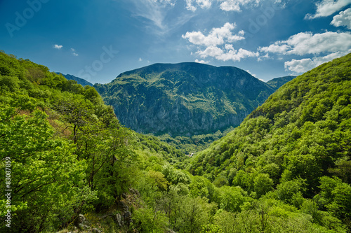 Mountain landscape on springtime