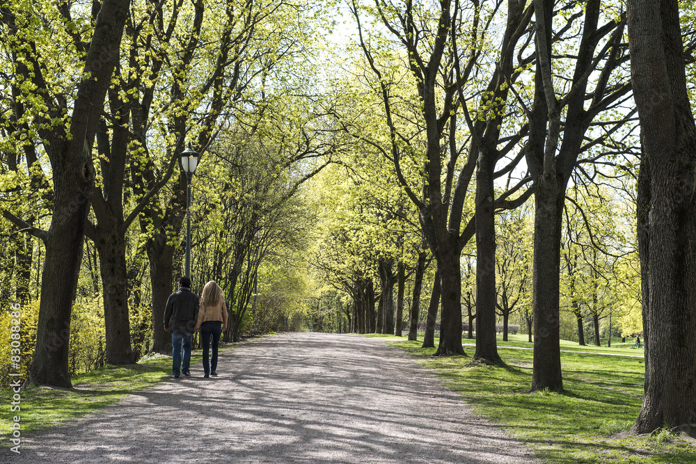 A walkway through The  Park, Oslo , Norway in spring