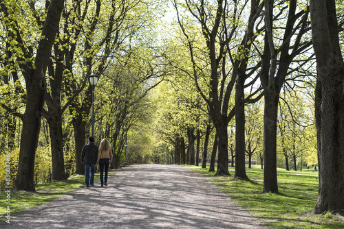 Fototapeta Naklejka Na Ścianę i Meble -  A walkway through The  Park, Oslo , Norway in spring