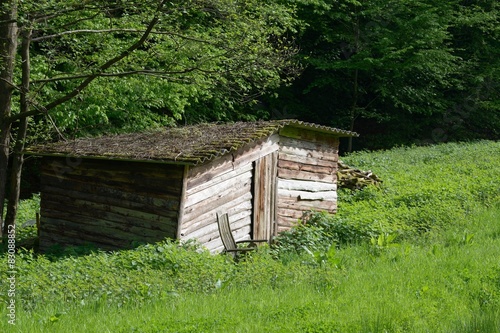 alte Hütte am Waldrand
