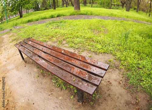 Bench in the park just after a spring rain