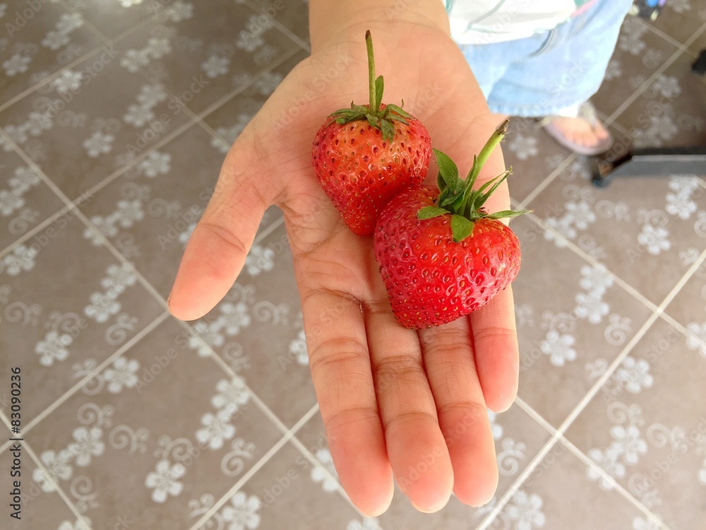 Obraz premium fresh strawberry in hand. 