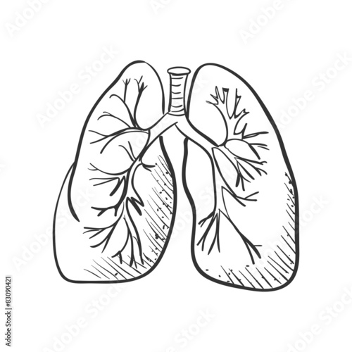 lungs doodle drawing, Medical background