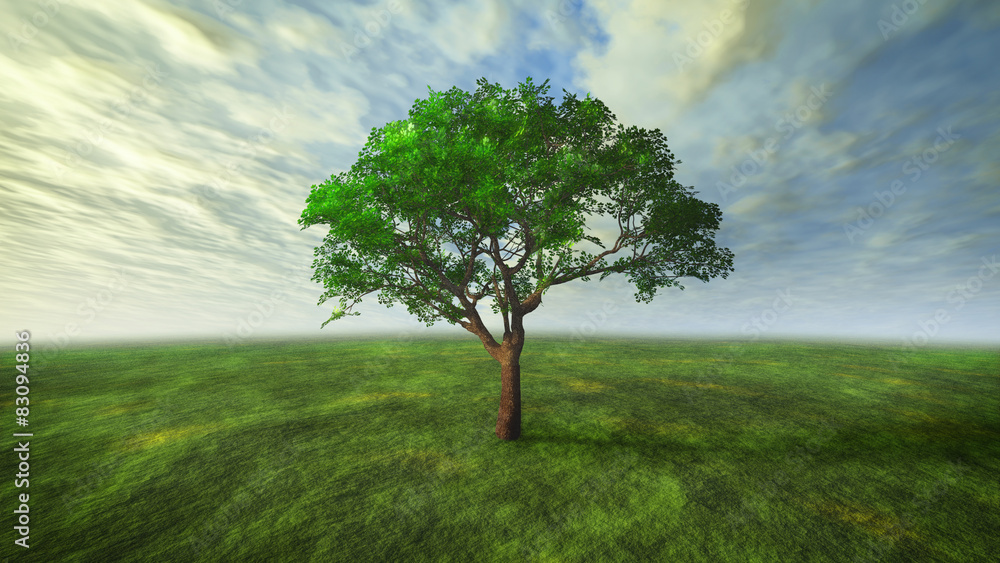 Obraz premium 3D cloud and tree with green concept
