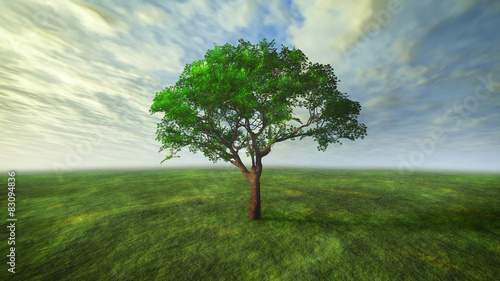 3D cloud and tree with green concept