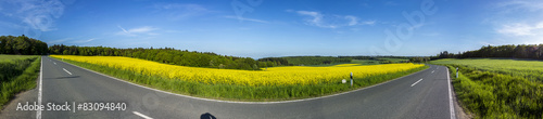 Spring countryside of yellow rapeseed fields in bloom