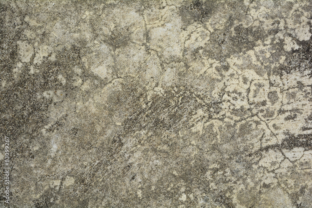 wall texture wall texture