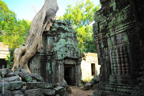 Ruins of Ta Prohm Temple in Cambodia