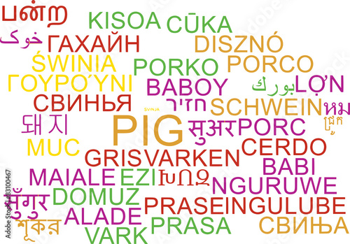 Pig multilanguage wordcloud background concept © Kheng Guan Toh