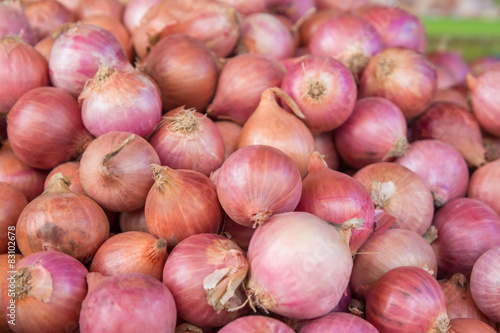Red onion bulb in market,Thailand