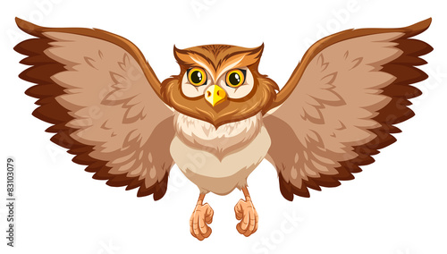 An owl