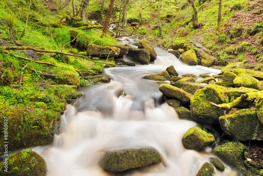 Stock image of a running river through moss covered rocks in Pad Stock image of a running river through moss covered rocks in Pad