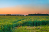 Stock image of sunrise over a farmers field