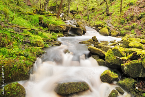 Stock image of a running river through moss covered rocks in Pad