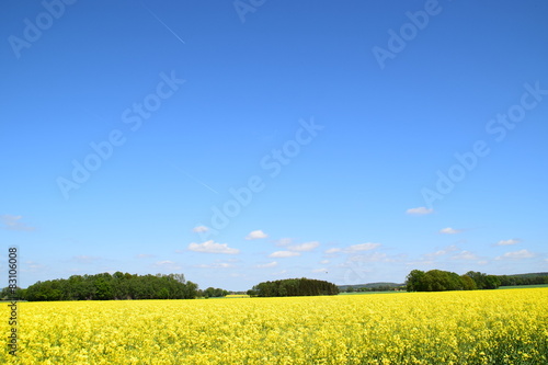 gelbe Felder blauer Himmel