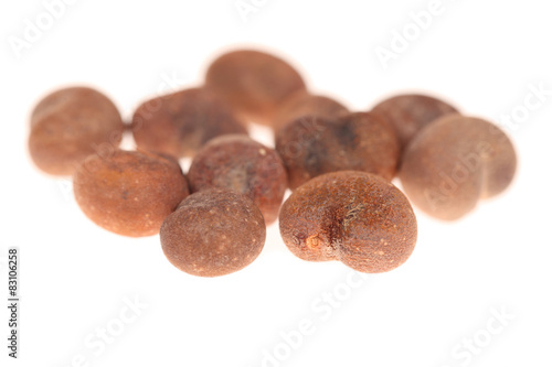 Fotografija Baobab tree seeds