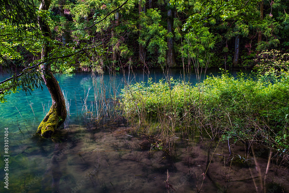 Fototapeta premium Lakes