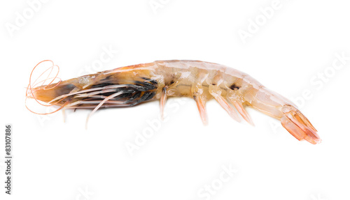 Raw tiger shrimp.