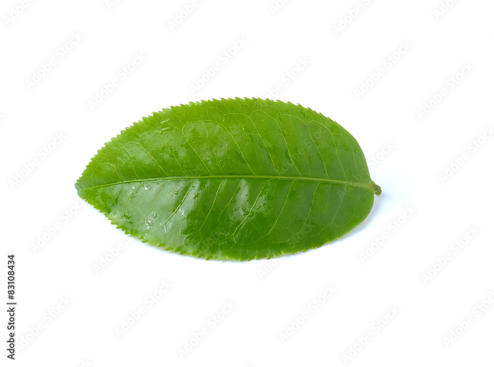 Obraz premium green tea isolated on white background