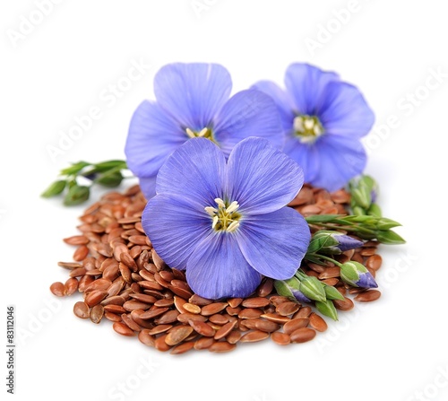 Flax seeds with flowers photo