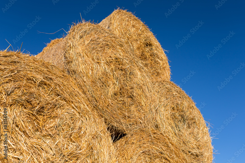 Piled hay bales on a field against blue sky Piled hay bales on a field against blue sky