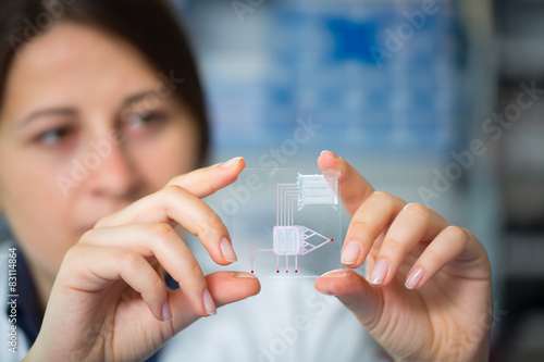 Obraz na plátně A lab on chip is device