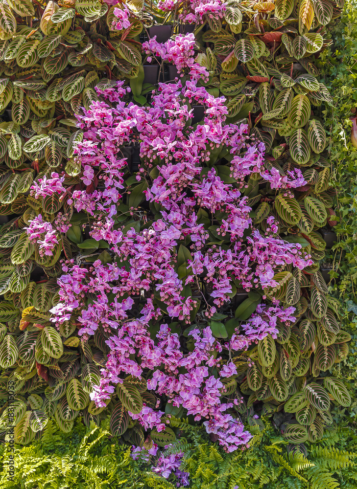 Obraz premium Installation of a flowers festival in Baku