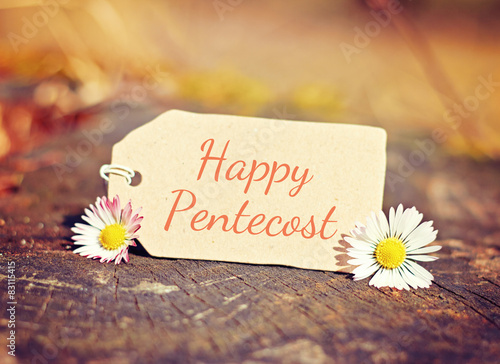Fototapeta Naklejka Na Ścianę i Meble -  greeting card background - happy pentecost