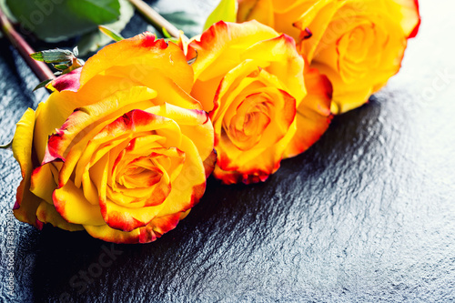 Roses Orange rose. Yellow rose. Several orange roses 