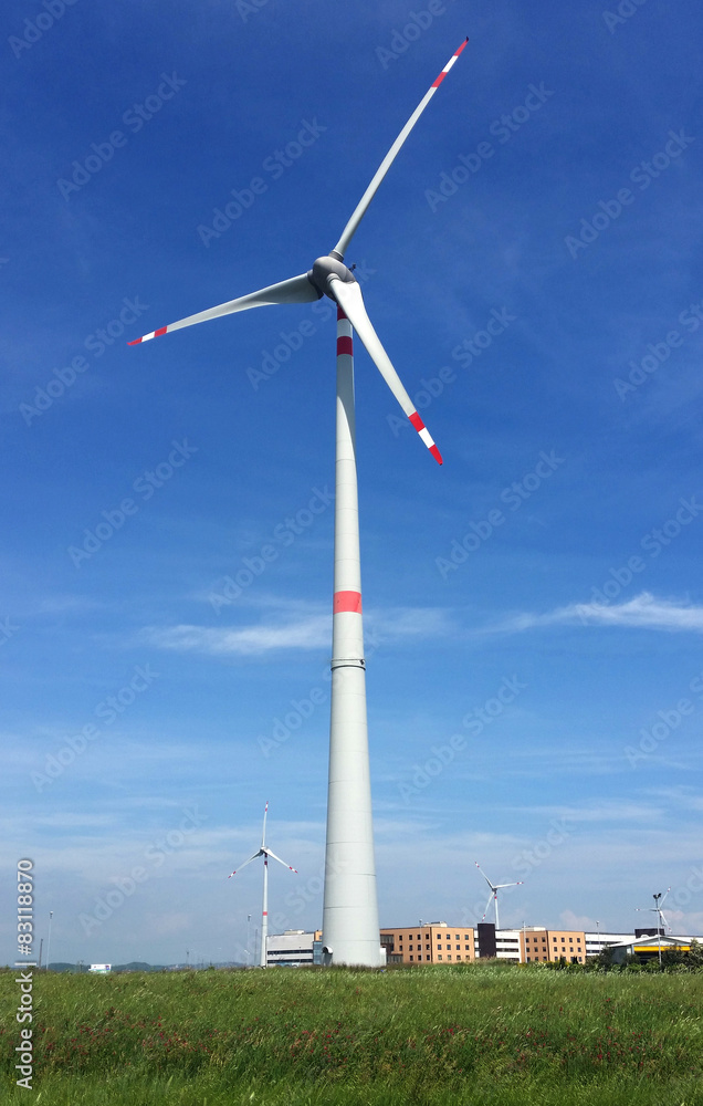 Energia eolica Energia eolica