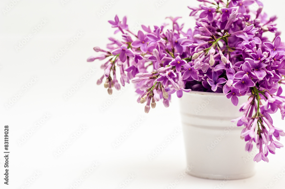 bucket and lilac on a white background