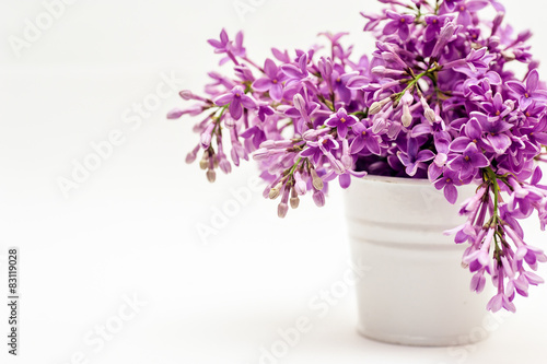 bucket and lilac on a white background