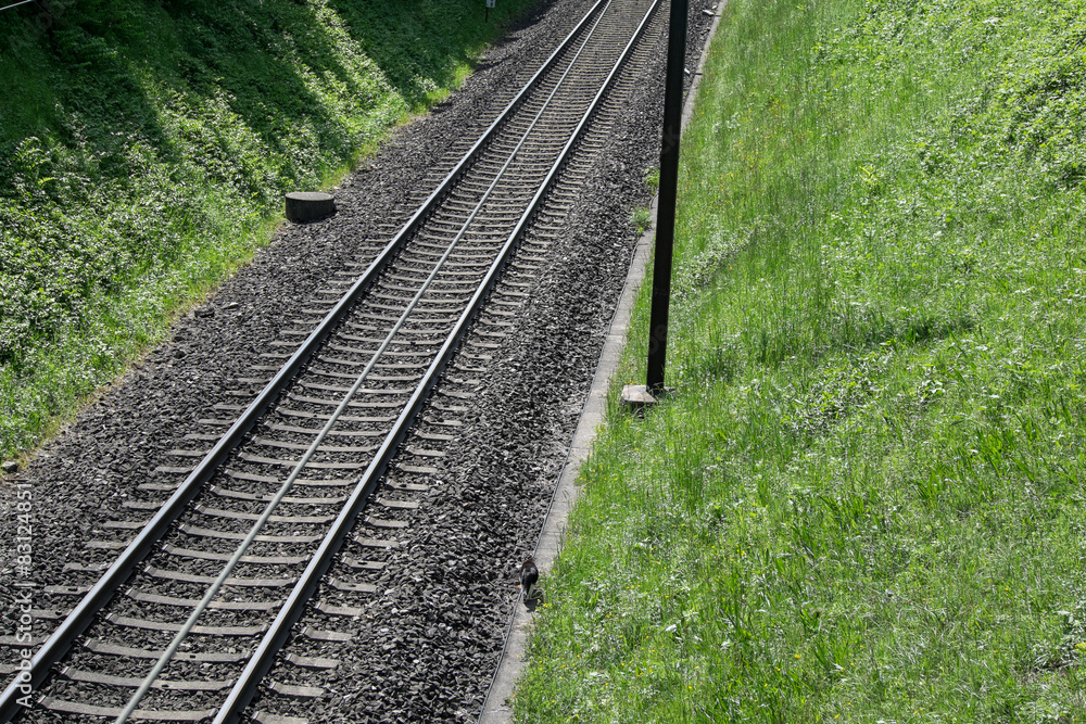 Obraz premium Bahnschiene