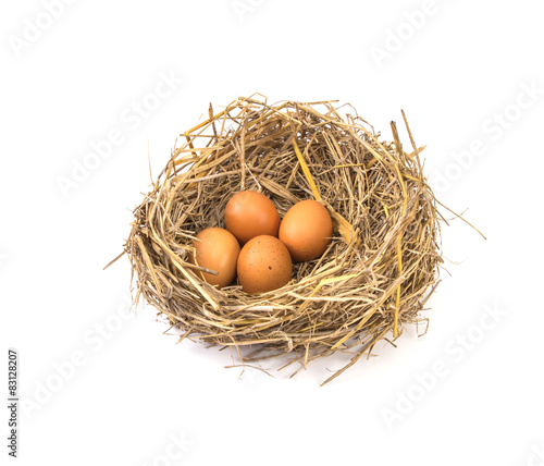 the twigs nest with brown chicken eggs with broken 