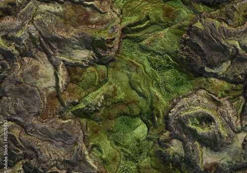 Canvas Print Seamless Terrain Texture Map