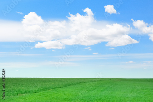 Green field on a background of blue sky with clouds