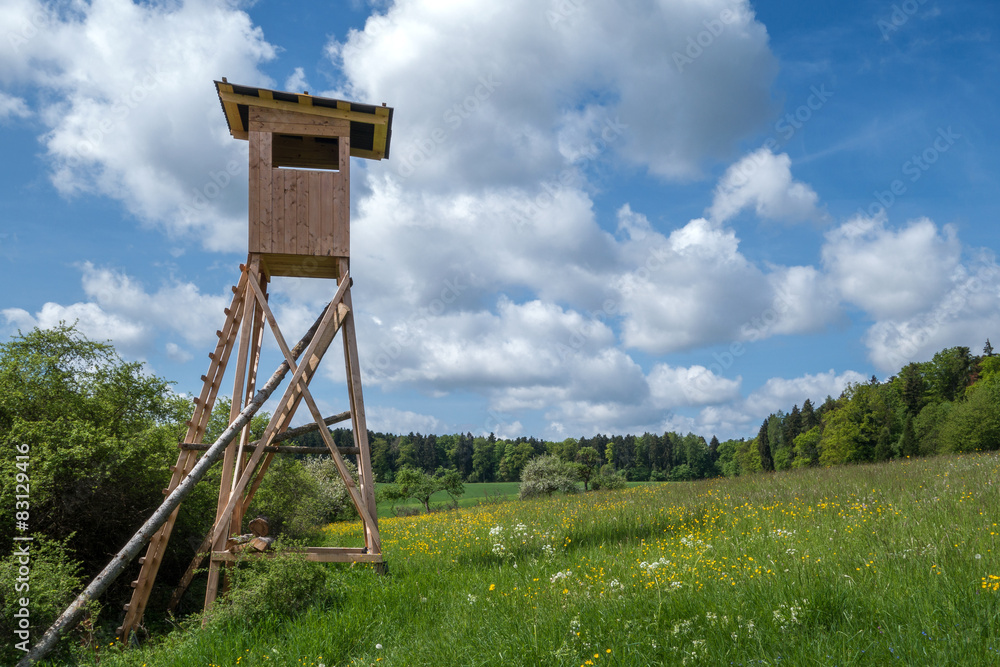 Hochsitz an einer Wiese im Frühling 