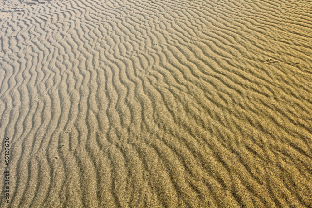 Iran desert Iran desert