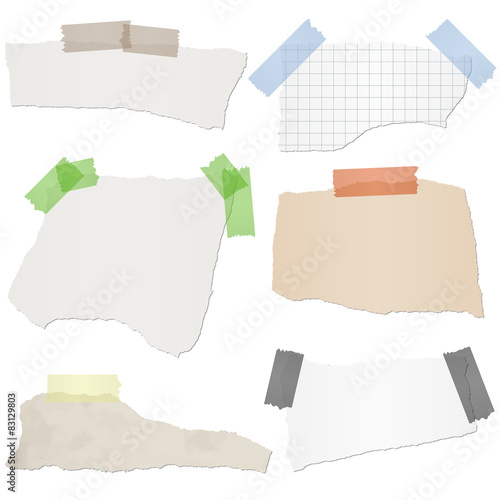 collection scrap of paper